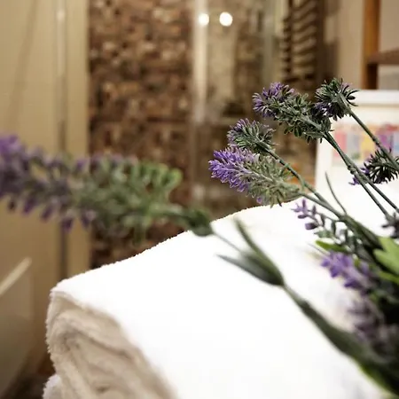 Acqua - Attico Con Terrazza *